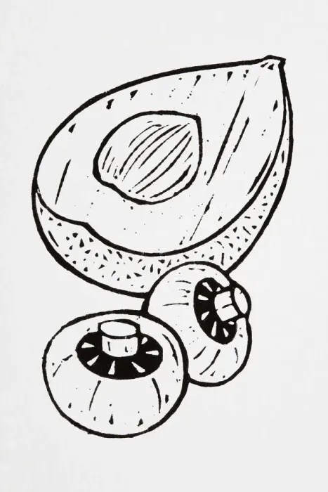 Framed Print : Black and white illustration of avocado half and two mushrooms Framed Print : Black and white illustration of avocado half and two mushrooms