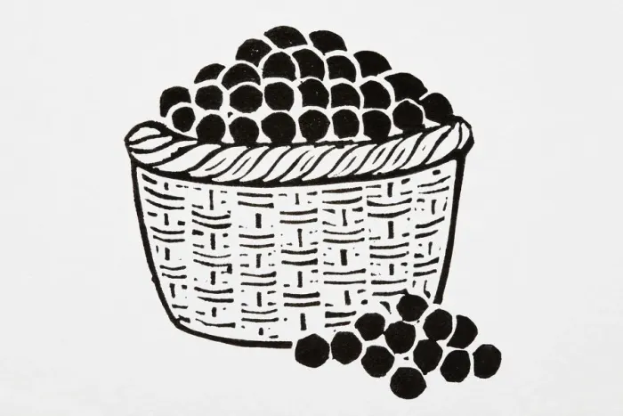 Framed Print : Black and white illustration of basket of cherries Framed Print : Black and white illustration of basket of cherries