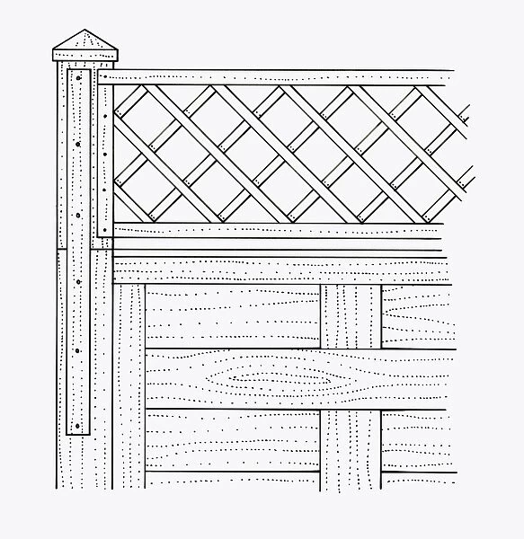 Black and white illustration of batten and trellis nailed to garden fence