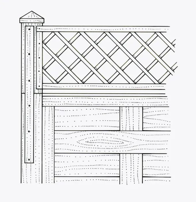 Framed Print : Black and white illustration of batten and trellis nailed to garden fence Framed Print : Black and white illustration of batten and trellis nailed to garden fence
