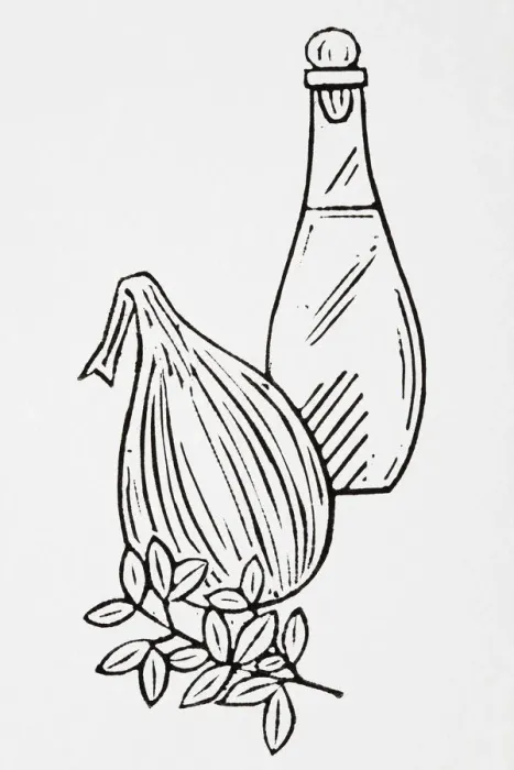 Framed Print : Black and white illustration of bottle of oil, onion and herb Framed Print : Black and white illustration of bottle of oil, onion and herb