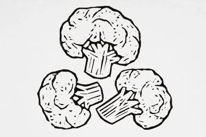 Framed Print : Black and white illustration of cauliflower florets Framed Print : Black and white illustration of cauliflower florets