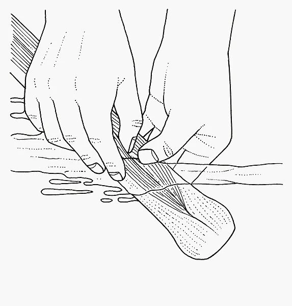 Black and white illustration of cleaning leeks in water