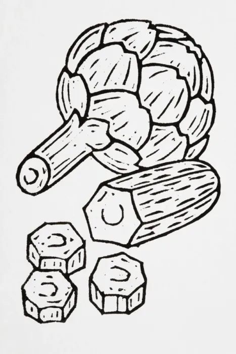 Framed Print : Black and white illustration of courgette and artichokes Framed Print : Black and white illustration of courgette and artichokes