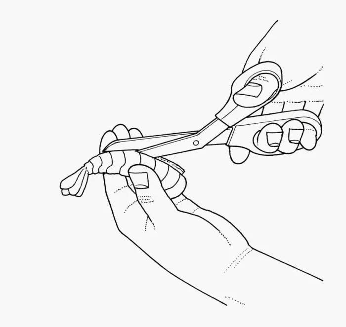 Framed Print : Black and white illustration of deveining prawn using scissors to cut along back Framed Print : Black and white illustration of deveining prawn using scissors to cut along back