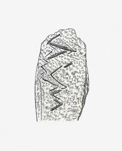 Black and white illustration of engraved animal bone from Bacho Kiro, Bulgaria