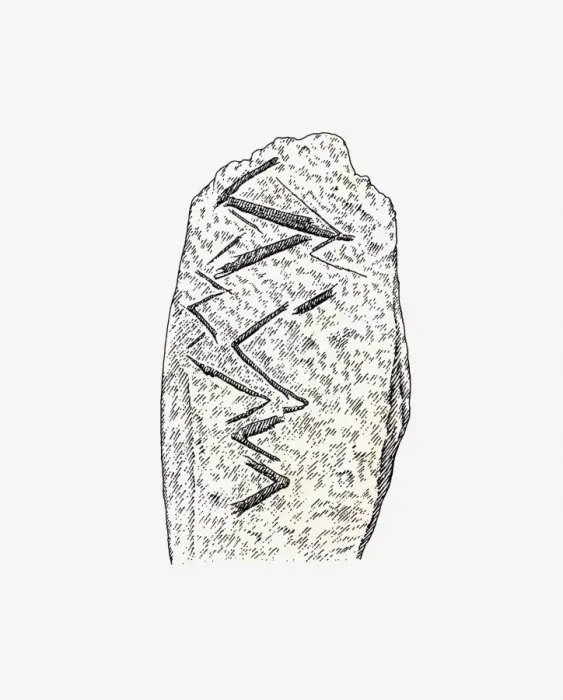 Framed Print : Black and white illustration of engraved animal bone from Bacho Kiro, Bulgaria Framed Print : Black and white illustration of engraved animal bone from Bacho Kiro, Bulgaria