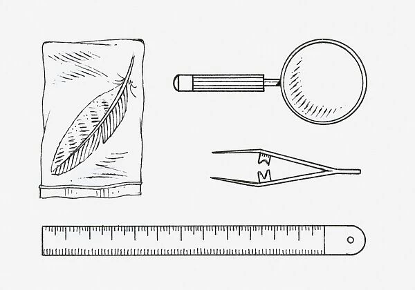 Black and white illustration of a feather in a sealed bag, a magnifying glass, a pair of tweezers, a ruler