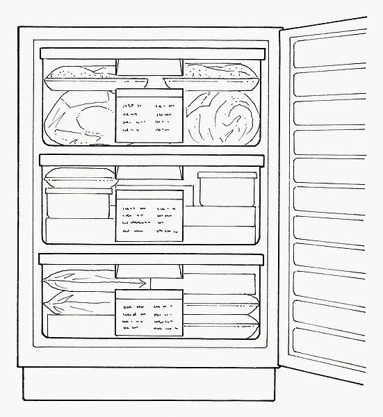 Black and white illustration full freezer with labelling on drawers
