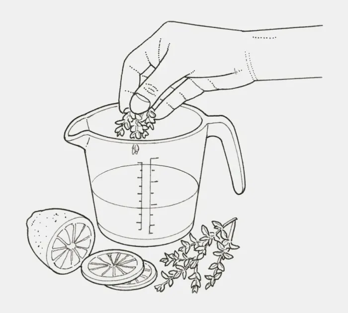Framed Print : Black and white illustration of hand adding thyme to heatproof jug of water, slices of lemon and sprigs of thyme nearby (making a deodorizer) Framed Print : Black and white illustration of hand adding thyme to heatproof jug of water, slices of lemon and sprigs of thyme nearby (making a deodorizer)