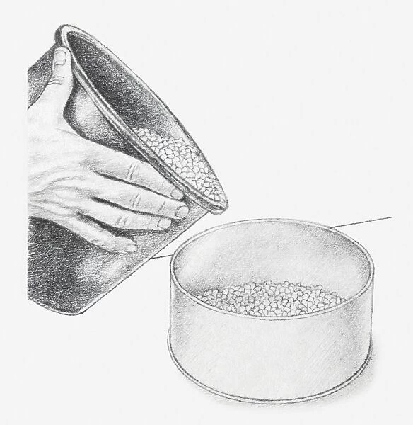 Black and white illustration of hand holding bucket of blue silica gel crystals and pouring into base of biscuit tin (drying flowers using desiccant)