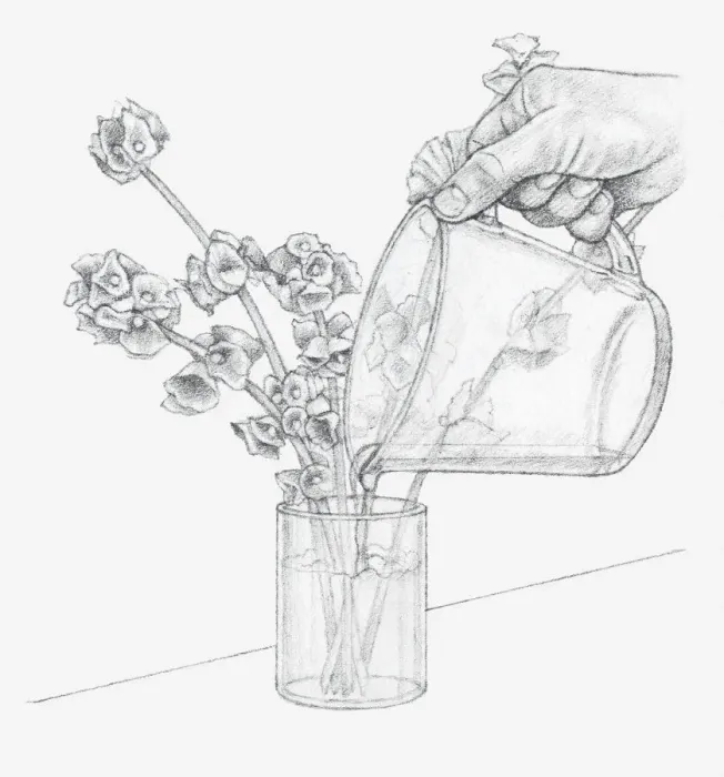 Framed Print : Black and white illustration of hand pouring glycerine and water mixture in vase containing Moluccella stems (preserving flowers) Framed Print : Black and white illustration of hand pouring glycerine and water mixture in vase containing Moluccella stems (preserving flowers)