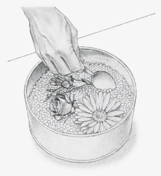 Framed Print : Black and white illustration of hand using spoon to cover flower heads with silica gel crystals (drying flowers using desiccant) Framed Print : Black and white illustration of hand using spoon to cover flower heads with silica gel crystals (drying flowers using desiccant)