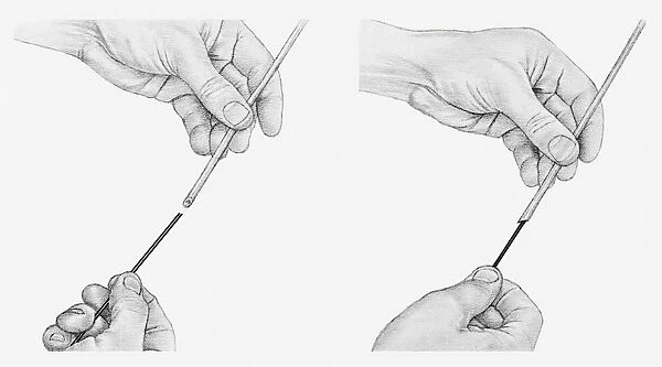 Black and white illustration of hands lengthening a hollow stem, using a piece of stub wire (wiring flowers)