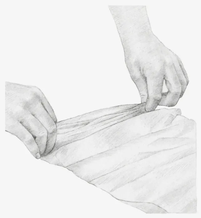 Framed Print : Black and white illustration of hands pleating a strip of tissue paper, to wrap a dried onion seed head in (storing dried flowers) Framed Print : Black and white illustration of hands pleating a strip of tissue paper, to wrap a dried onion seed head in (storing dried flowers)