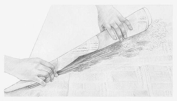 Black and white illustration of hands wrapping a bunch of dried flowers in newspaper (storing dried flowers)