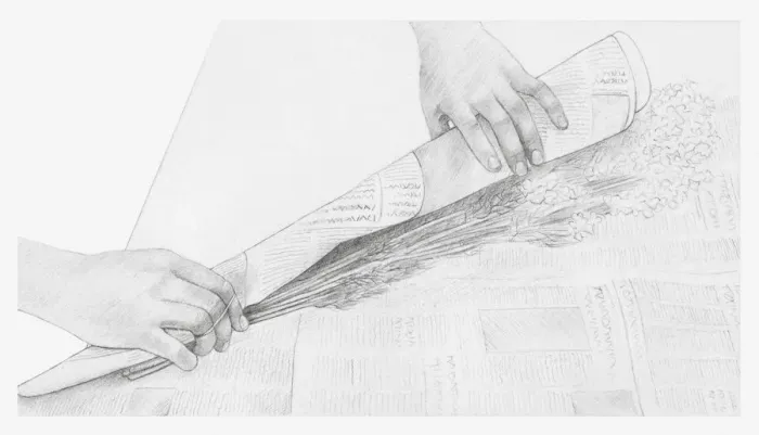 Framed Print : Black and white illustration of hands wrapping a bunch of dried flowers in newspaper (storing dried flowers) Framed Print : Black and white illustration of hands wrapping a bunch of dried flowers in newspaper (storing dried flowers)