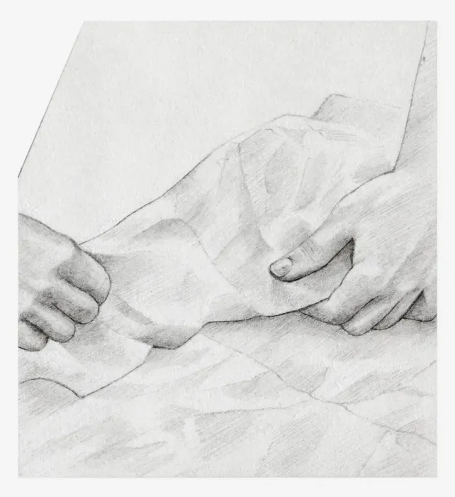 Framed Print : Black and white illustration of hands wrapping dried hydrangea flower individually in tissue paper (storing dried flowers) Framed Print : Black and white illustration of hands wrapping dried hydrangea flower individually in tissue paper (storing dried flowers)