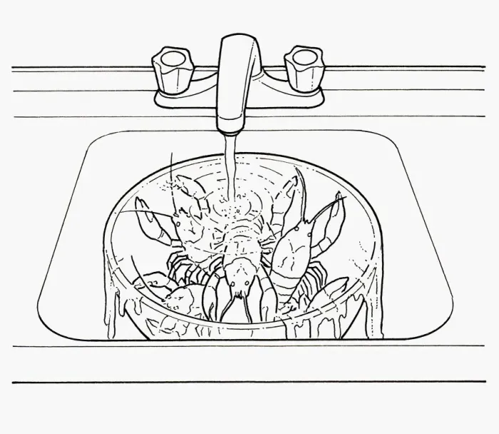 Framed Print : Black and white illustration of keeping crayfish alive in large bowl under running water Framed Print : Black and white illustration of keeping crayfish alive in large bowl under running water