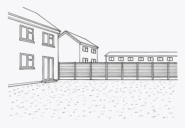 Black and white illustration of lawn and fence in domestic garden