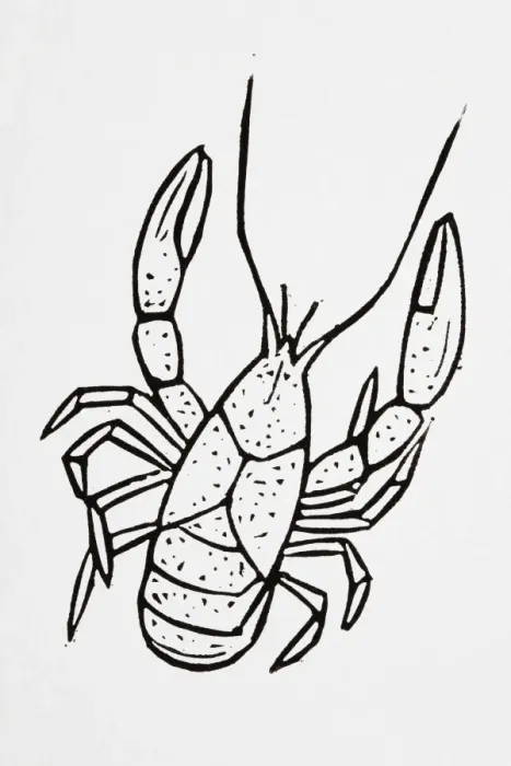 Framed Print : Black and white illustration of lobster Framed Print : Black and white illustration of lobster