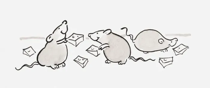 Framed Print : Black and white illustration of three mice eating cheese Framed Print : Black and white illustration of three mice eating cheese