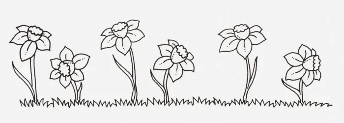 Framed Print : Black and white illustration of Narcissus (Daffodil) flowers in a row Framed Print : Black and white illustration of Narcissus (Daffodil) flowers in a row