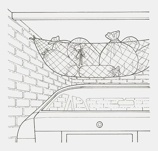Black and white illustration of a net hung across a garages ceiling, holding various items packed up in bags