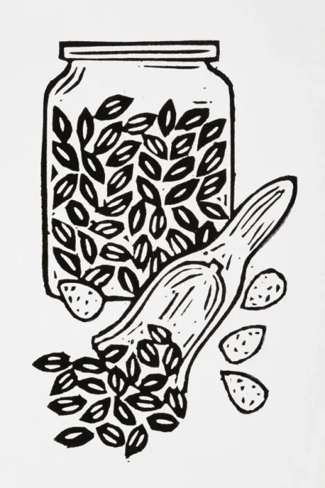 Framed Print : Black and white illustration of nuts and seeds, in jar and on spoon