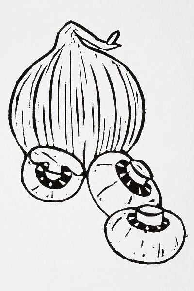 Black and white illustration of onion and mushrooms