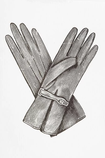 Black and white illustration of pair of ladies gloves