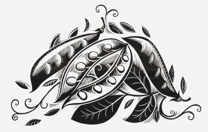Framed Print : Black and white illustration of peas in pods Framed Print : Black and white illustration of peas in pods