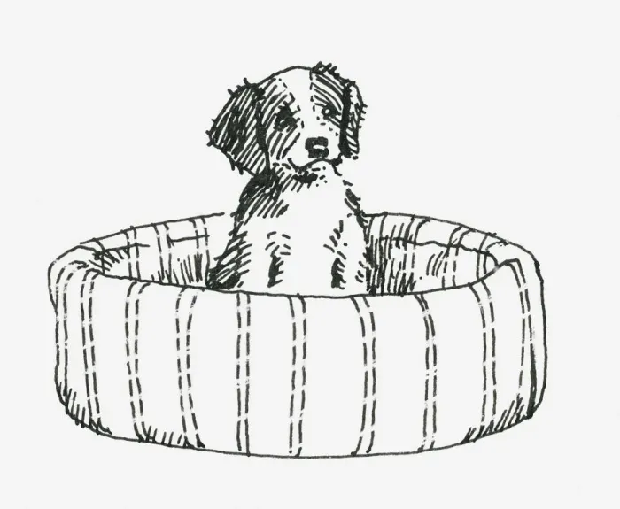 Framed Print : Black and white illustration of a puppy sitting up in a dog bed Framed Print : Black and white illustration of a puppy sitting up in a dog bed