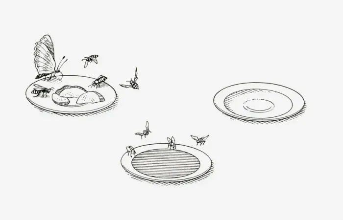 Framed Print : Black and white illustration of three saucers showing how different types of food attract different insects Framed Print : Black and white illustration of three saucers showing how different types of food attract different insects