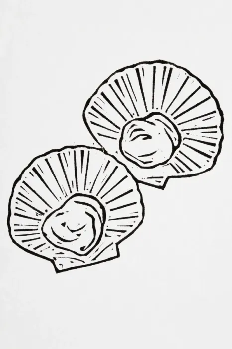 Framed Print : Black and white illustration of scallops