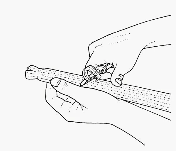 Black and white illustration of stringing celery using vegetable peeler