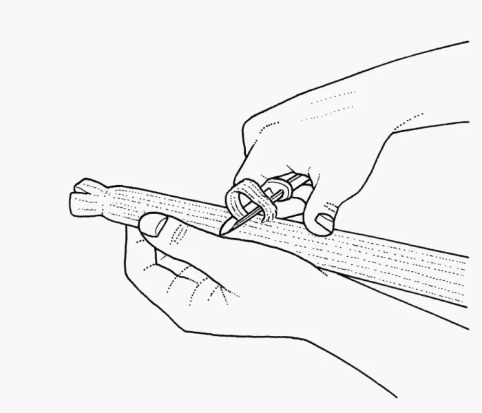 Framed Print : Black and white illustration of stringing celery using vegetable peeler Framed Print : Black and white illustration of stringing celery using vegetable peeler
