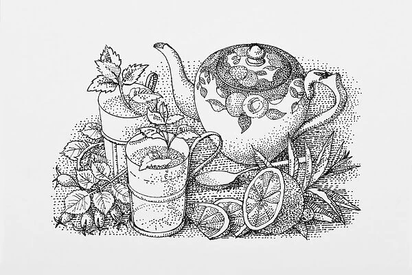 Black and white illustration of teapot, mint tea, sliced lemon, and herb leaves