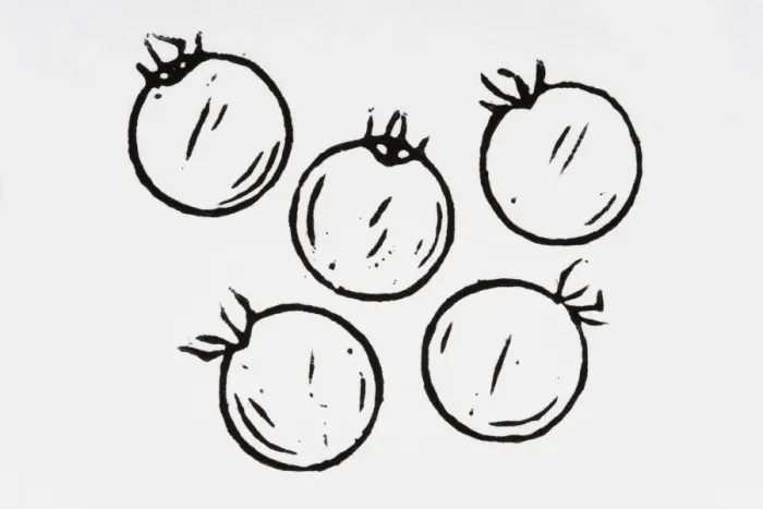 Framed Print : Black and white illustration of five tomatoes Framed Print : Black and white illustration of five tomatoes