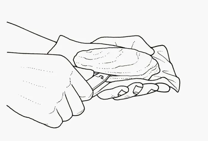 Framed Print : Black and white illustration using tin opener to open oyster shell opening Framed Print : Black and white illustration using tin opener to open oyster shell opening