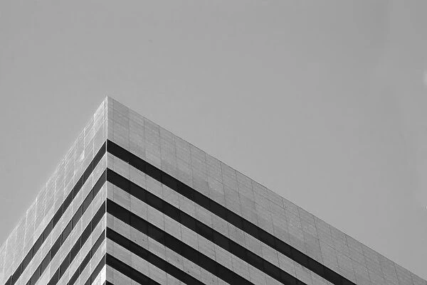 Black and White Skyscraper