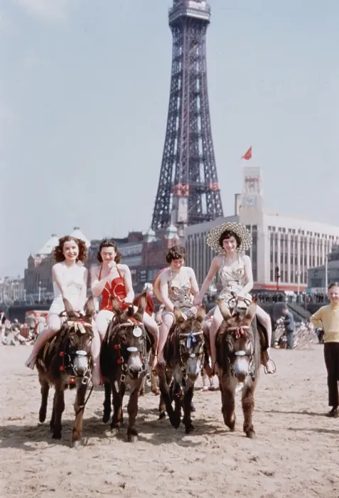 Framed Print : Blackpool Donkeys Framed Print : Blackpool Donkeys