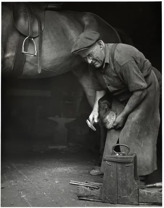 Framed Print : Blacksmith Putting Horse Shoes On Horse Framed Print : Blacksmith Putting Horse Shoes On Horse