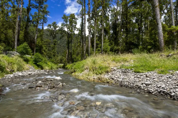 Framed Print : The Blackwater Creek below the Douglas Range, West Coast Region, New Zealand Framed Print : The Blackwater Creek below the Douglas Range, West Coast Region, New Zealand