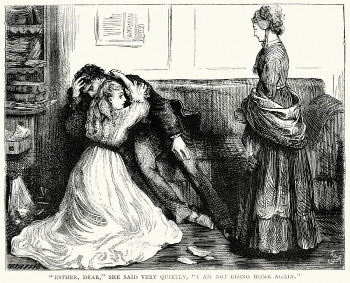 Framed Print : Bleak House by Charles Dickens Framed Print : Bleak House by Charles Dickens