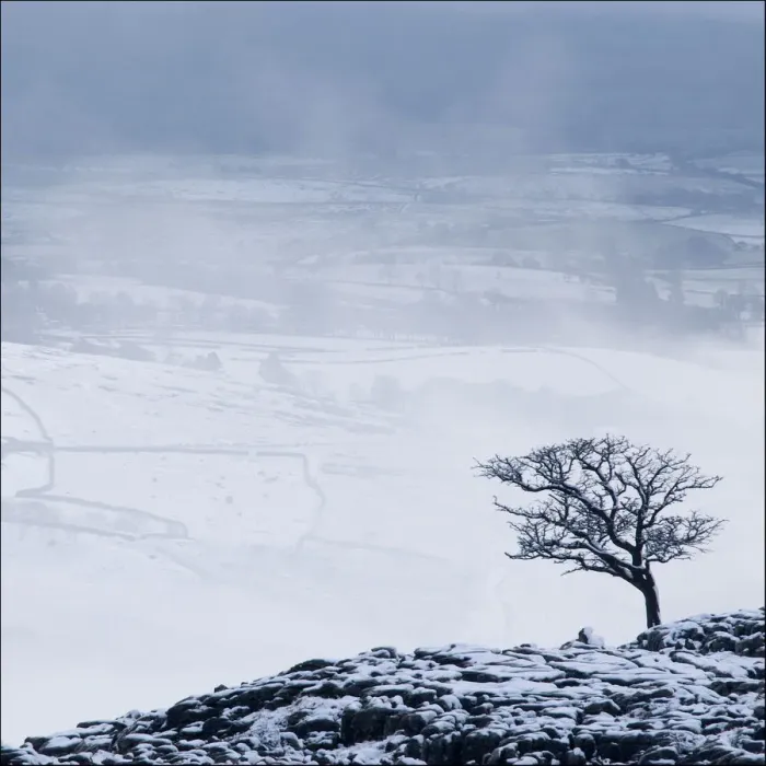 Framed Print : Bleak midwinter Framed Print : Bleak midwinter