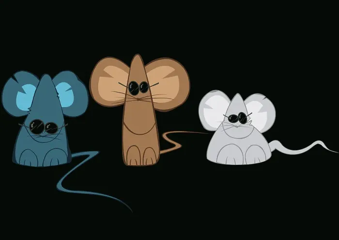 Framed Print : Three Blind Mice Illustration Framed Print : Three Blind Mice Illustration