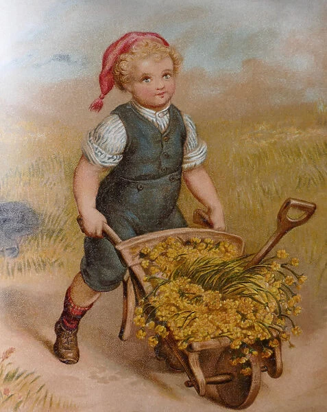 Blond boy pushing a wheelbarrow full with golden flowers