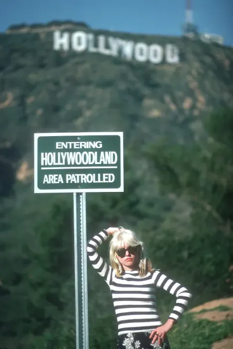 Framed Print : Blondie At The Hollywood Sign Framed Print : Blondie At The Hollywood Sign