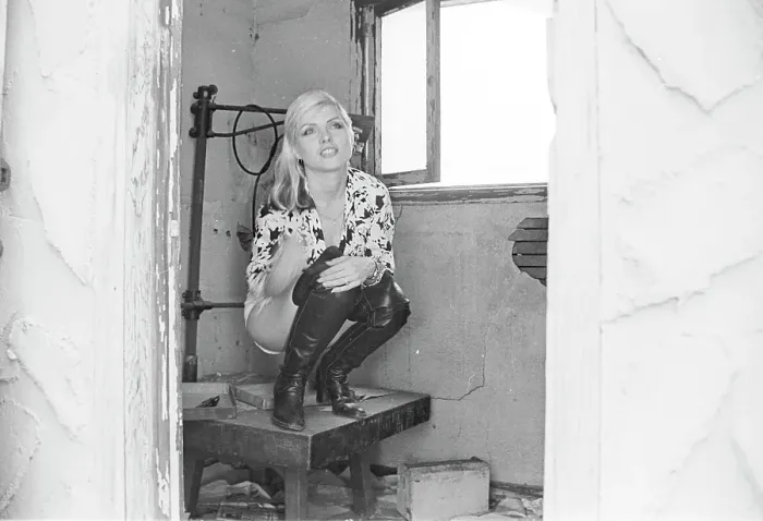 Framed Print : Blondie Portrait Session Framed Print : Blondie Portrait Session